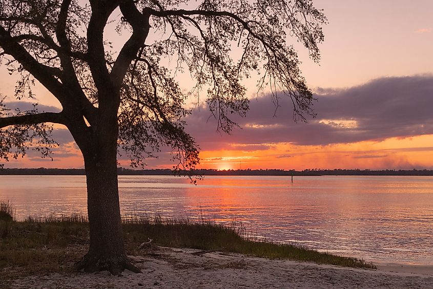 A scenic sunset view of the Cape Fear River from Carolina Beach State Park in North Carolina. 