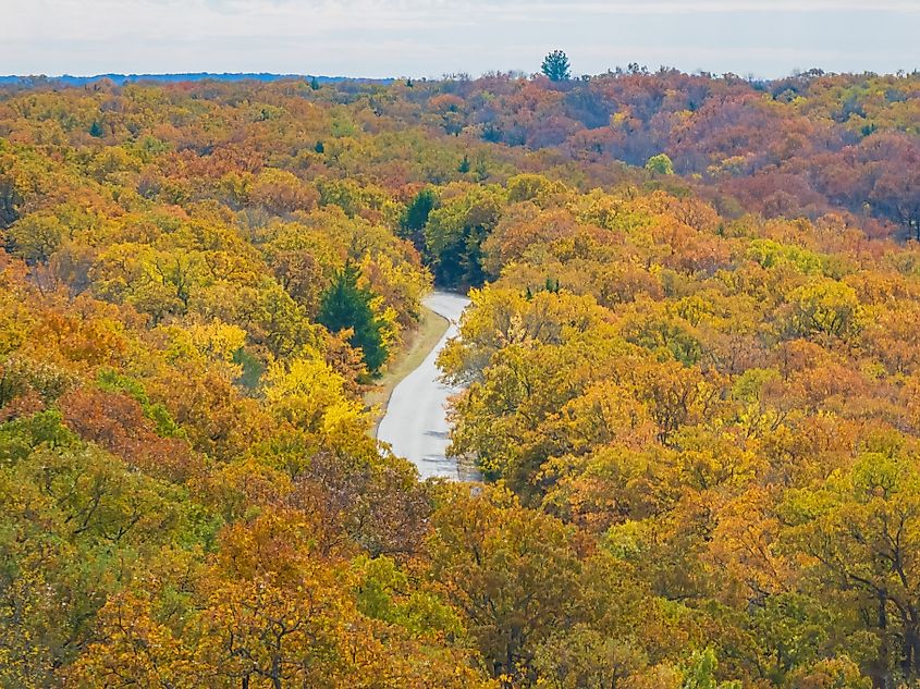 The fall foliage in Lake Murray State Park, Oklahoma.