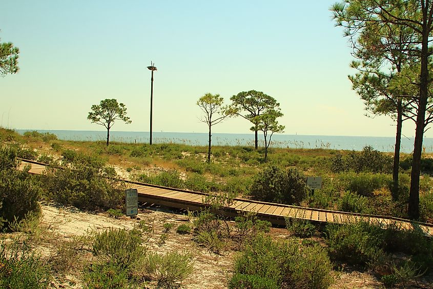 Dauphin Island, Alabama / United States of America - October 3 2019: Audubon Bird Sanctuary Trail on the Barrier Island