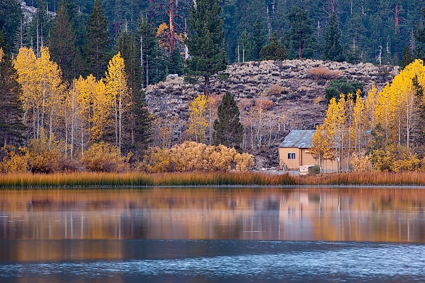 Sunrise Scenery at Gull Lake