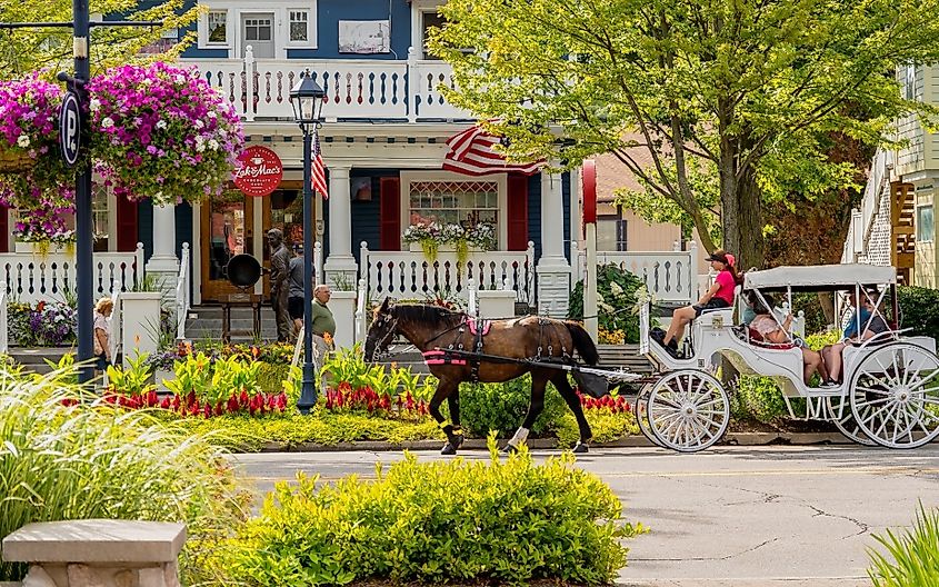 A horse-drawn carriage transports tourists in downtown Frankenmuth, Michigan. 