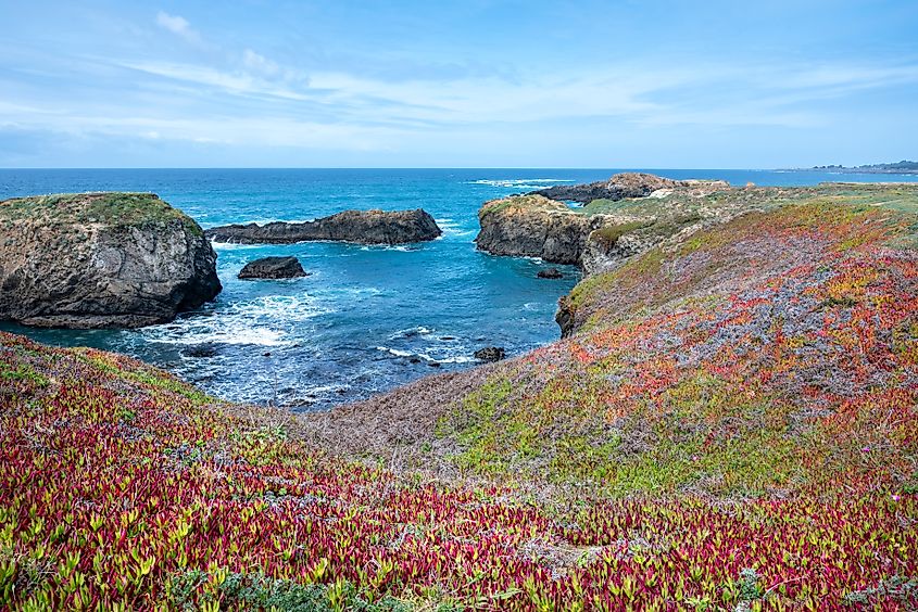 Mendocino Headlands State Park in Mendocino California on a bright, blue, sunny day.