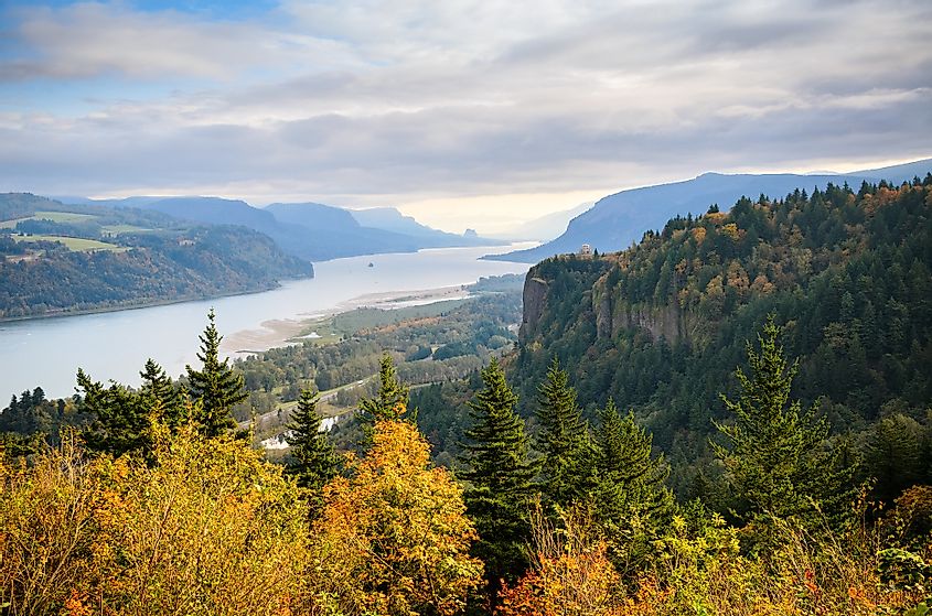 The spectacular vista of the Columbia River Gorge.