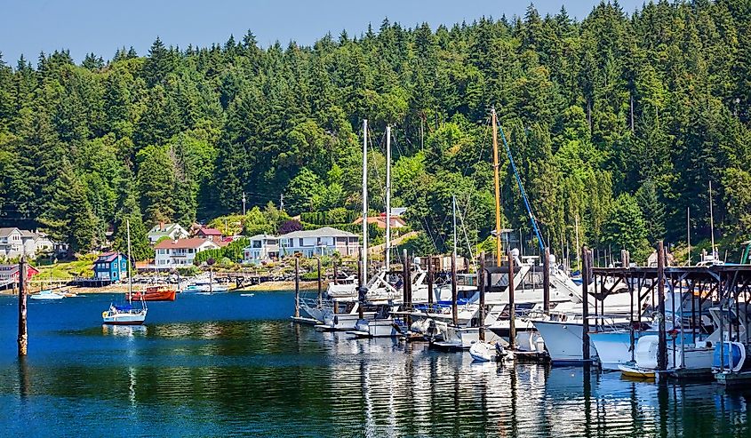 White Sailboats Marina Reflection Gig Harbor Washington State