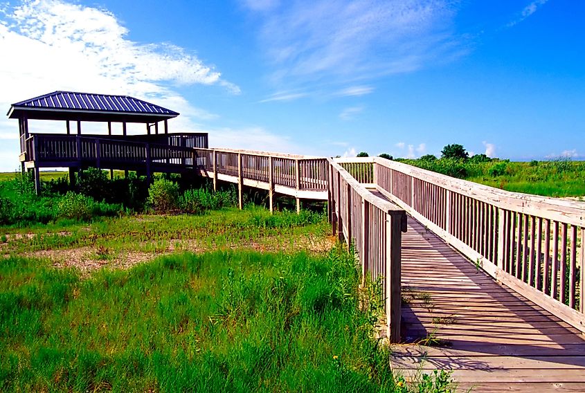 A boardwalk leading to a gazebo in Sabine National Wildlife Refuge on the Creole Nature Trail, Cameron Parish, Louisiana, USA