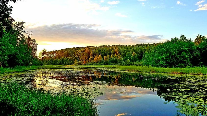 The sun setting over a small opening to a secluded lake located in Itasca County Minnesota within the Chippewa National Forest.