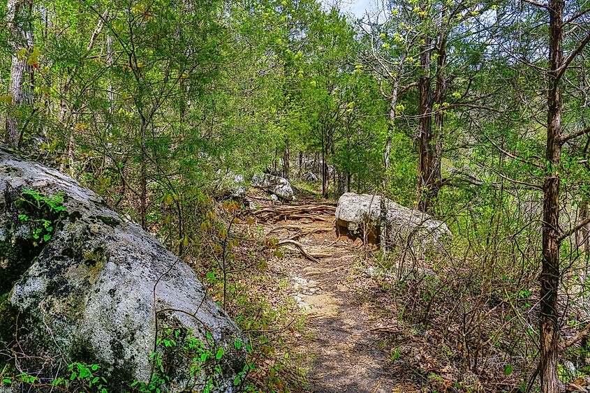 A trail in South Cumberland State Park in Tennessee.