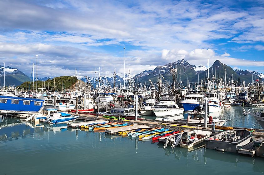 Fishing boats at dock in Valdez Harbor in Valdez, Alaska.