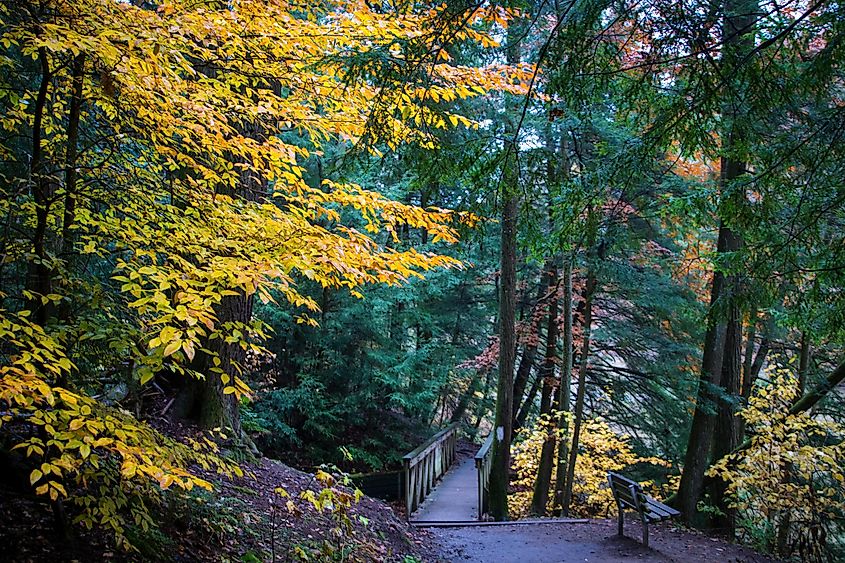 A hiking trail in Mohican State Park