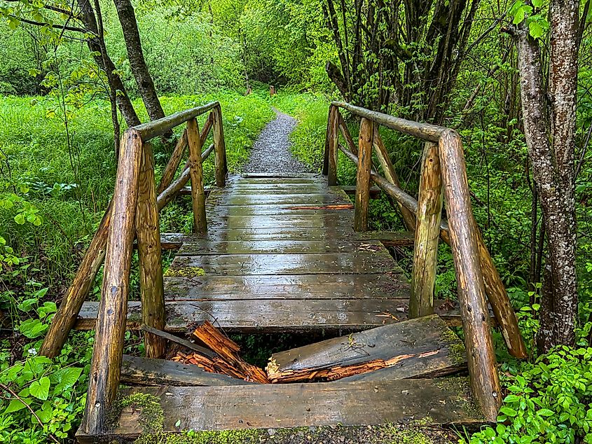 A mountain trail with a broken bridge over a stream.