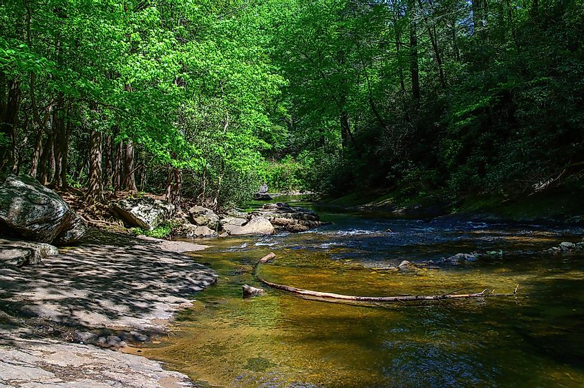 Dick's Creek, downstream from the Lower Falls, near Clayton, Georgia.