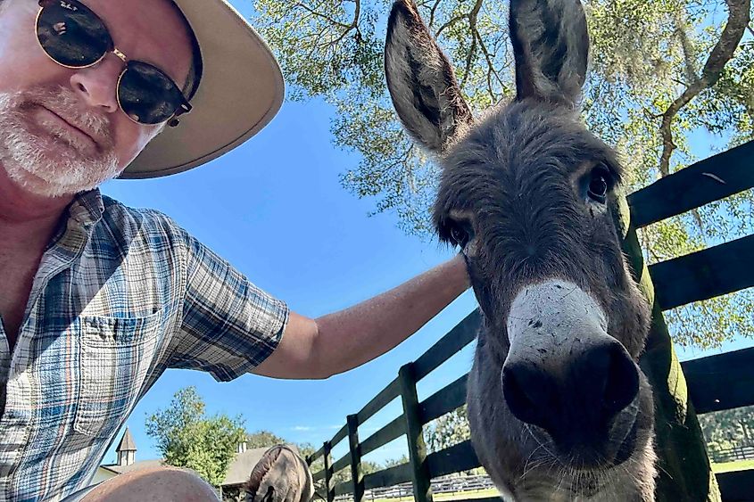 The author with miniature donkey in Ocala Florida Image credit Bryan Dearsley