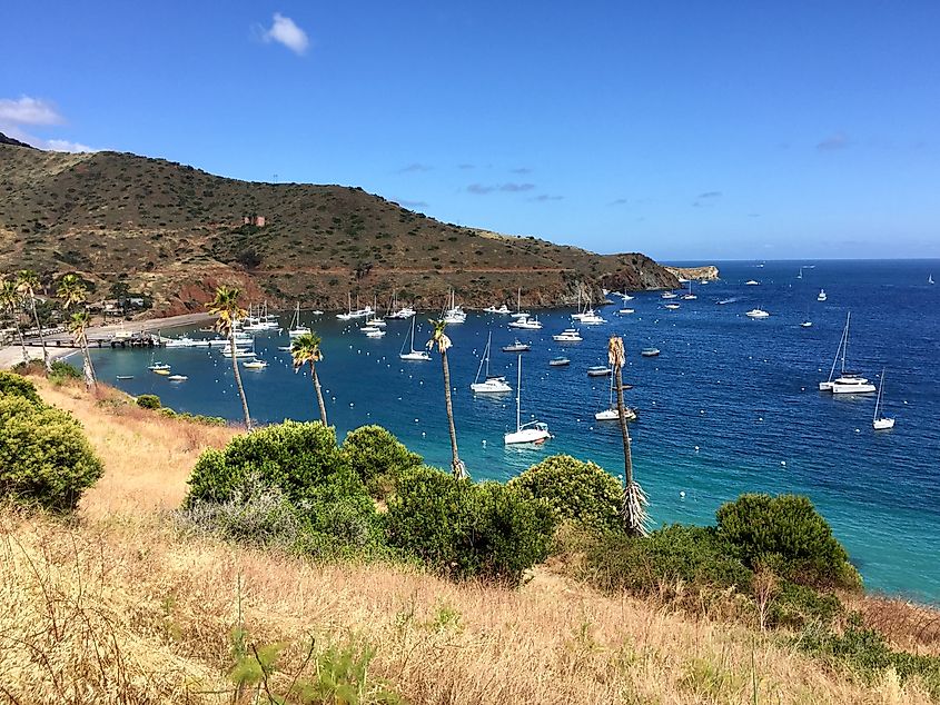 The marina at Two Harbors, California.