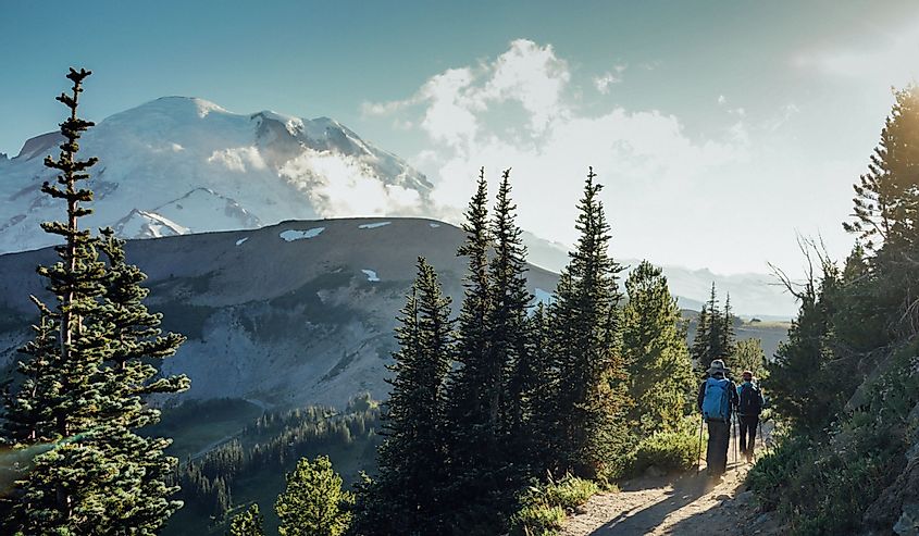A hiker is hiking in the field at Wonderland Trail with Mount Rainier in the background, Washington