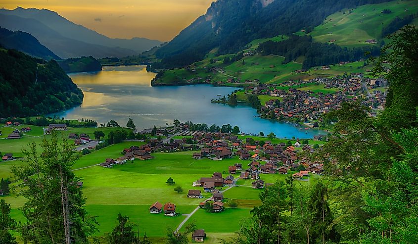 lush green trees, water, and mountains in Wengen