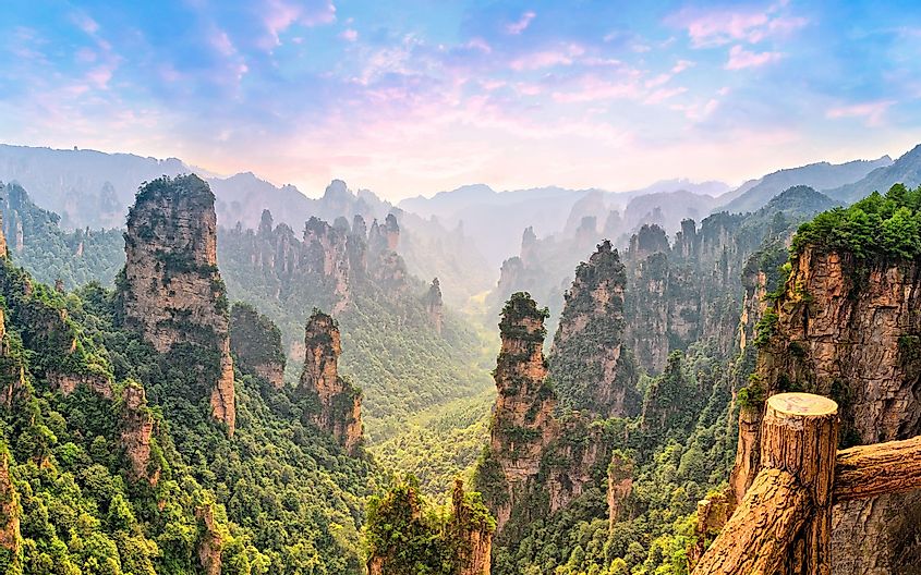 China's Zhangjiajie Forest Park. View above the cliffs and mountains to the colorful valley at sunrise. 