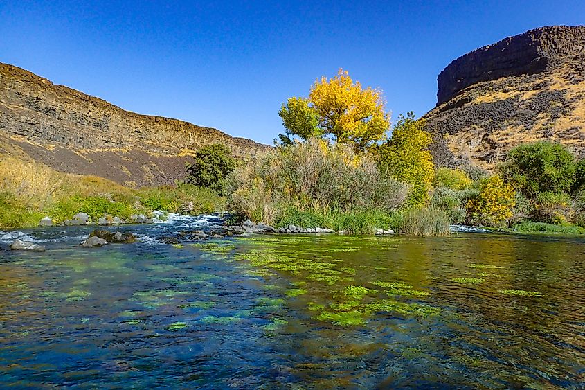 Thousand Springs State Park near Hagerman, Idaho