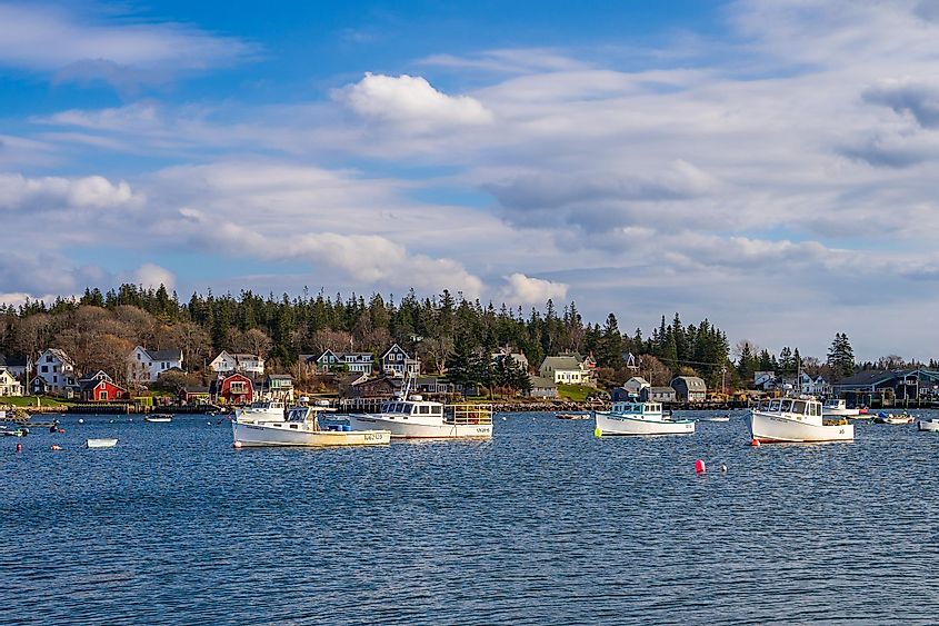Lobster boats in the Gulf of Maine in Vinalhaven, via Hope Phillips / Shutterstock.com