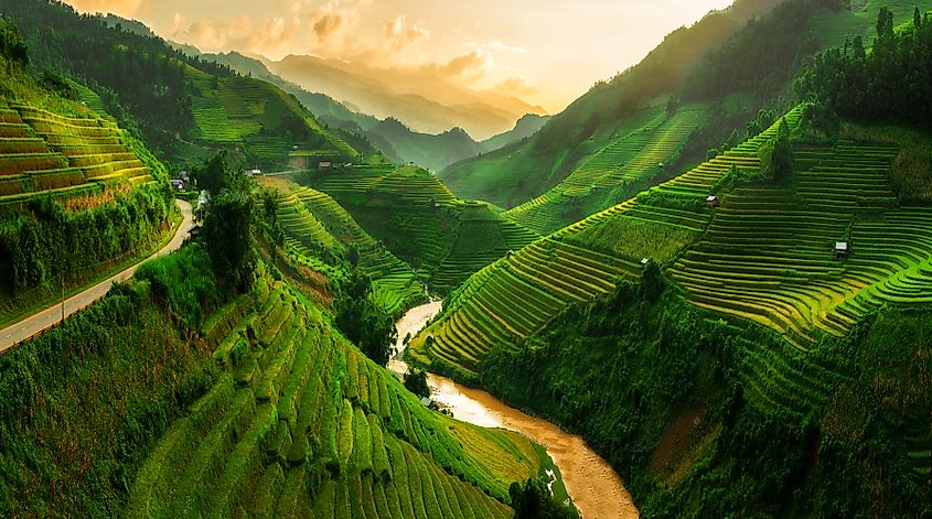 Mu Cang Chai, landscape terraced rice field near Sapa, north Vietnam