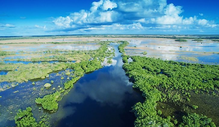An overview of the Florida Everglades