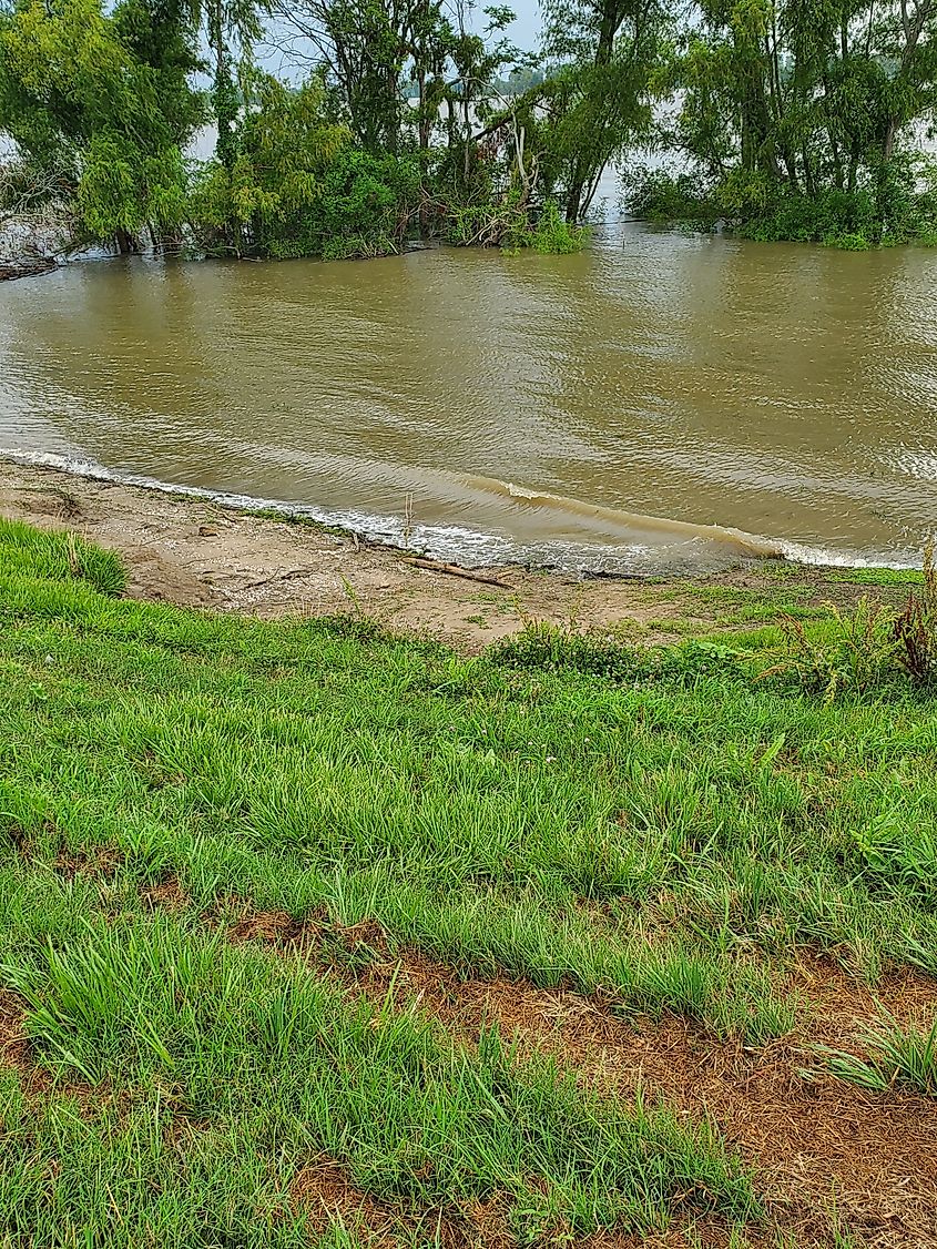 High water at the Mississippi River levee