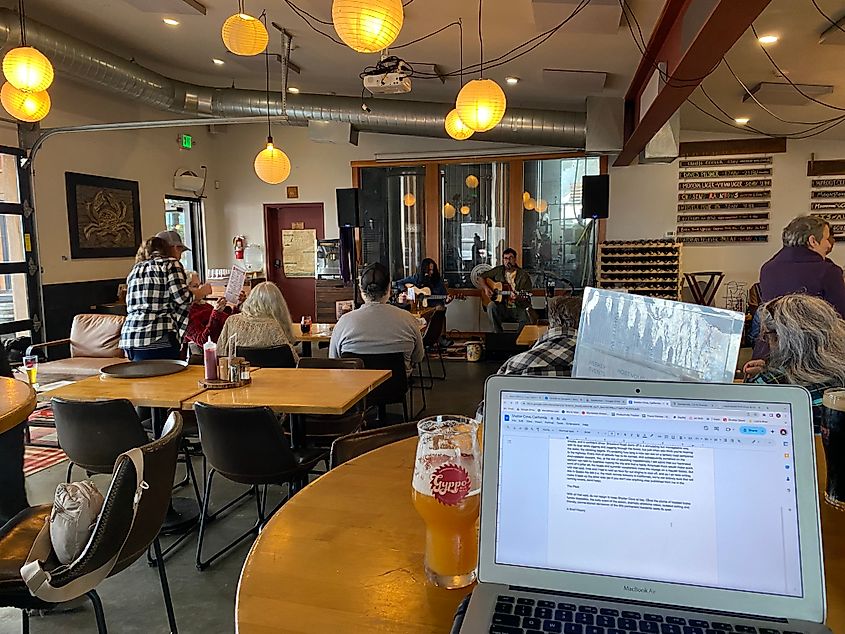 Writing an article about Shelter Cove, California while chilling in its resident brewery.