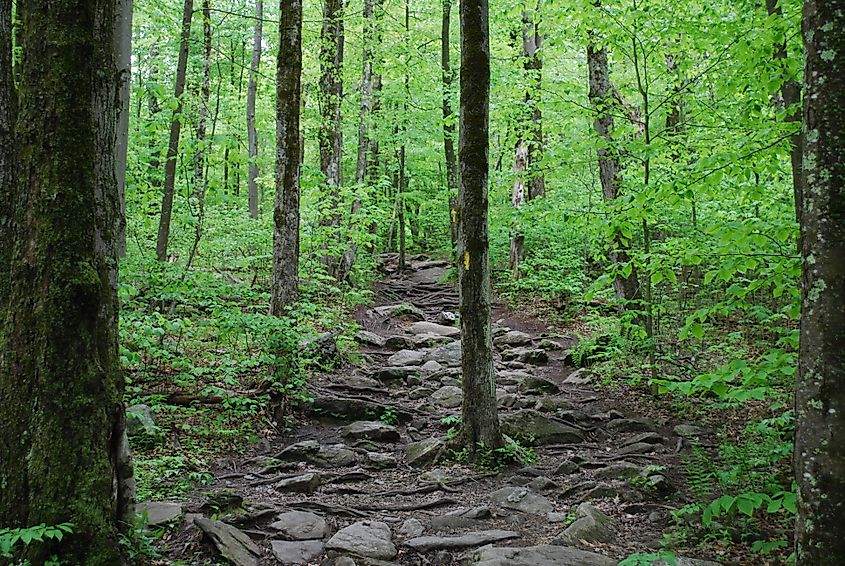 Mount Wachusett, Massachusetts.