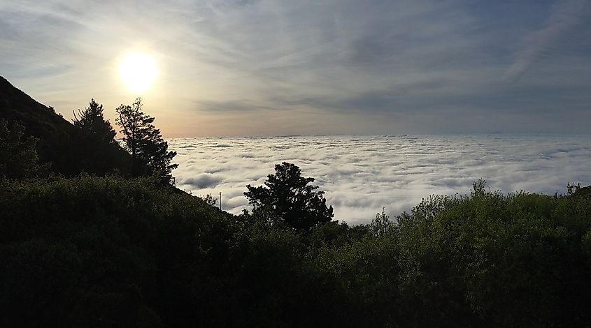 Mount Tamalpais