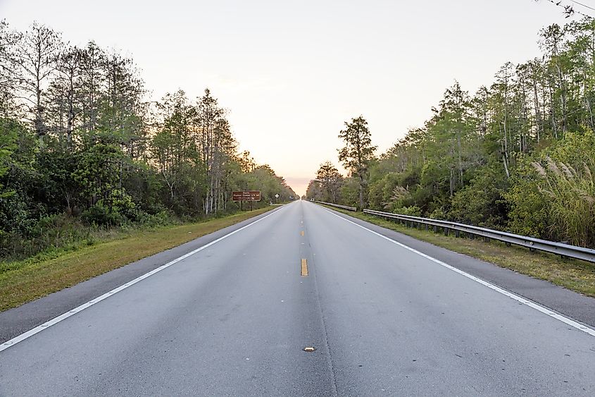 Tamiami Trail, U.S. Route 41, at sunset in Florida