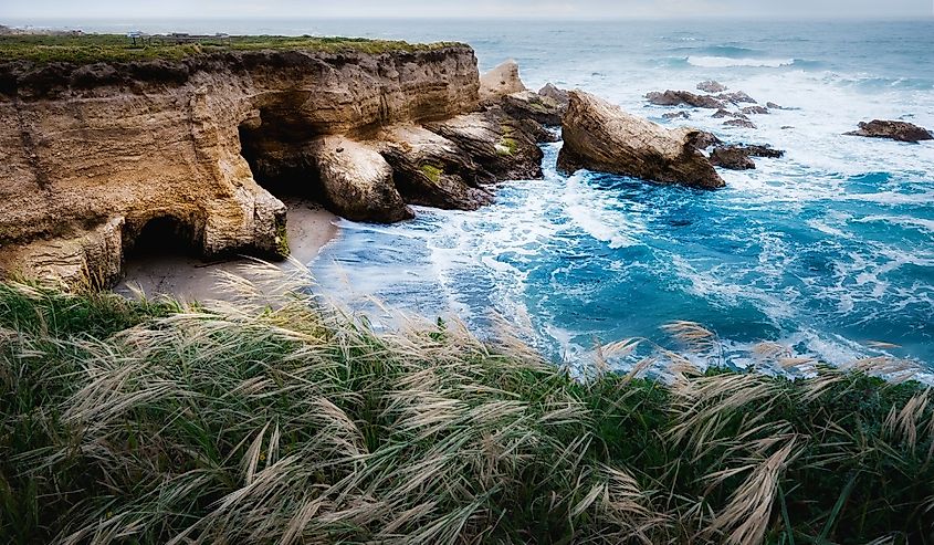 Dramatic coastline landscape. Rocky Cliffs, Pacific Ocean, and native plants on the beach, Montana de Oro State Park, California