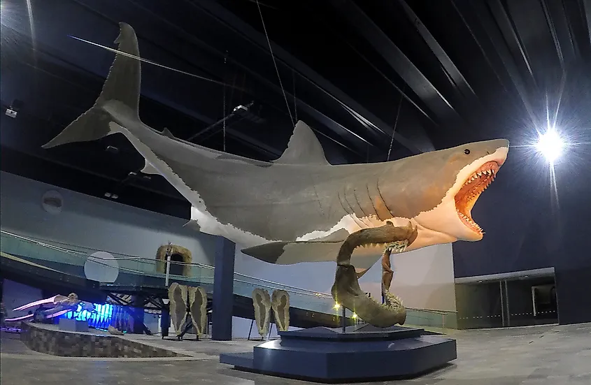 Sculpture in the Museum of Evolution in Puebla, Mexico.