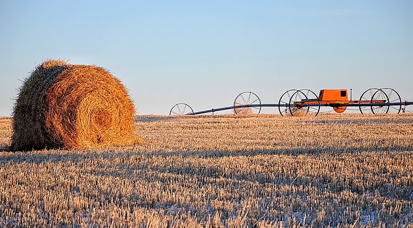 Hay bale on a farm in Conrad, Montana.