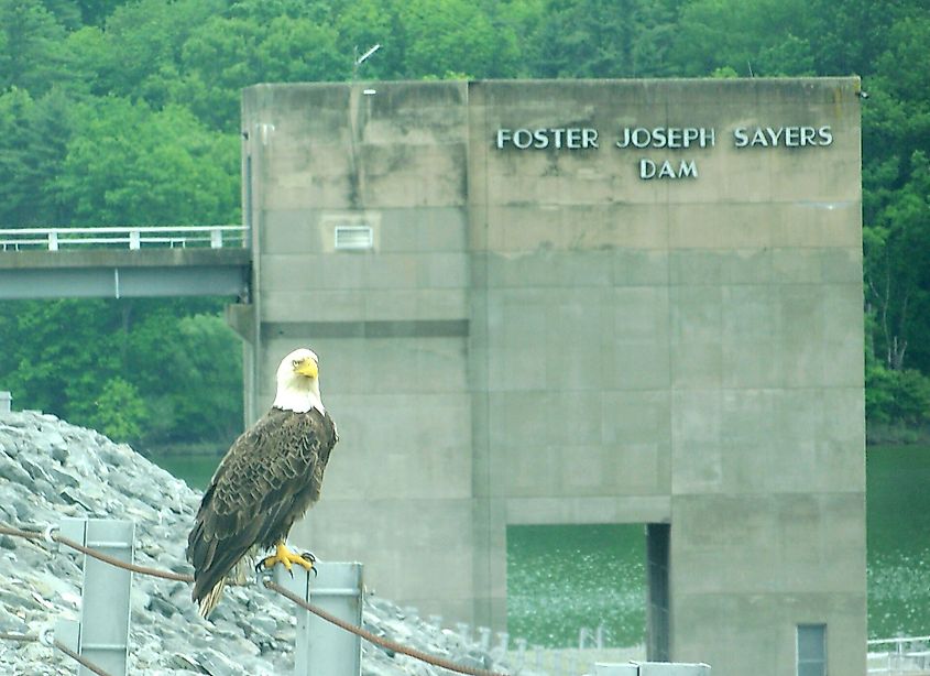 Bald Eagle State Park, Pennsylvania
