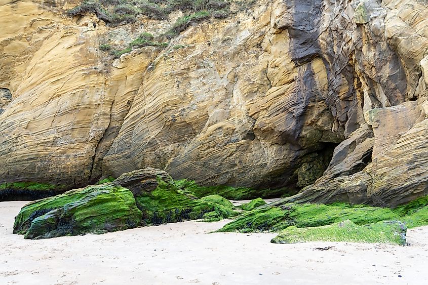 Barite mineral veins in the sandstone rocks on the beach at Cullercoats Bay, near Tynemouth, UK