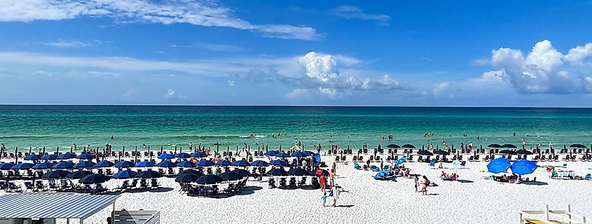 Aerial view of the beach with blue umbrellas and lounge chairs lined up at the Watercolor Community Club in Watercolor, Florida.