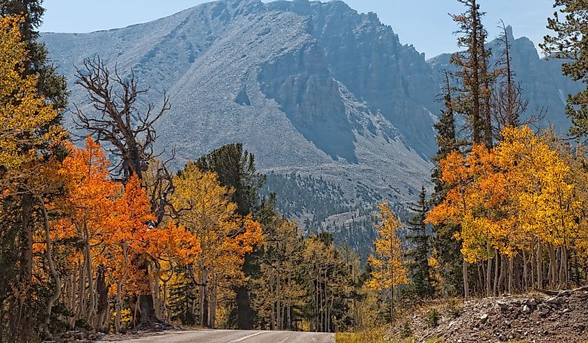 Nevada's Great Basin National Park-Wheeler Peak