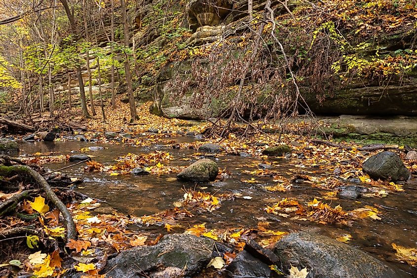 Fall leaves and water flowing in the Dells. Matthiessen State Park, Illinois