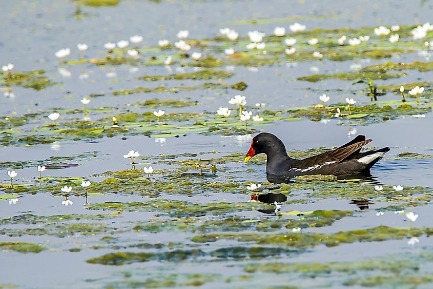 Sultanpur National Park