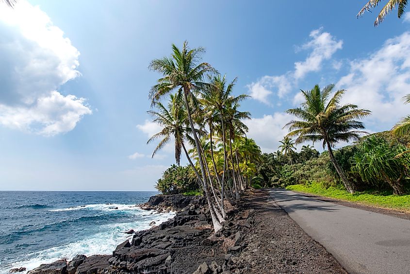 Government Beach Road,Pahoa,Big Island Hawaii. norinori303 via Shutterstock