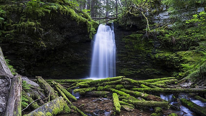A waterfall in a national forest in the Idaho Panhandle