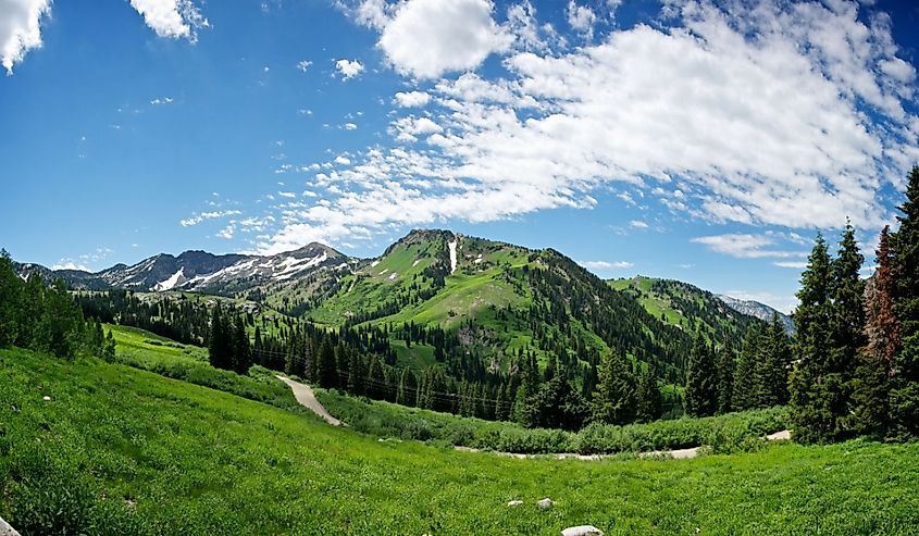 A dirt road winds through the mountains of Alta, Utah