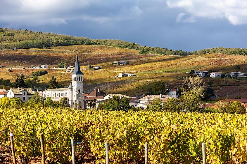 rhone valley