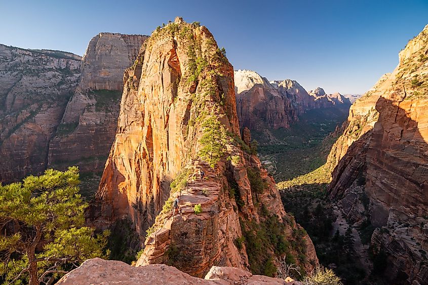 A view of the famous Angels Landing in Zion National Park, Utah. 