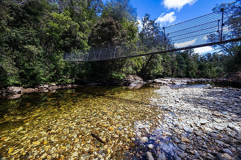 Frenchmans Cap Suspended Bridge in Franklin-Gordon Wild Rivers National Park. 