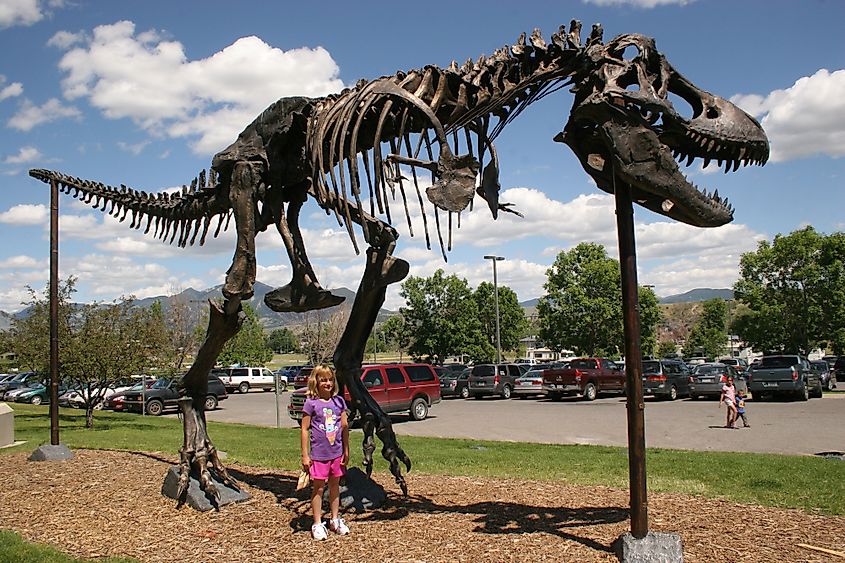 Museum of the Rockies, Bozeman, Montana