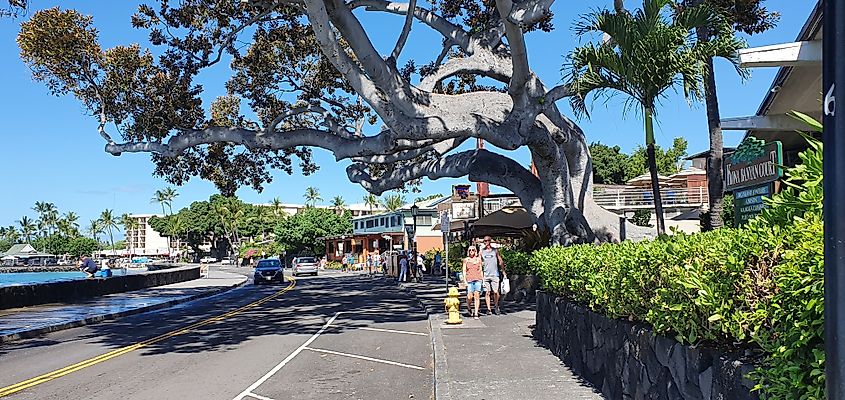 Walking along the coastline in Kailua-Kona. Image credit: Danne_l via Shutterstock.