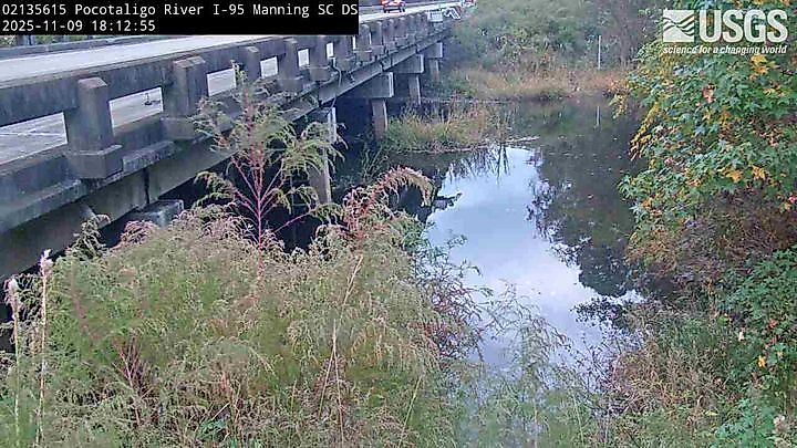 Pocotaligo River at I-95 above Manning