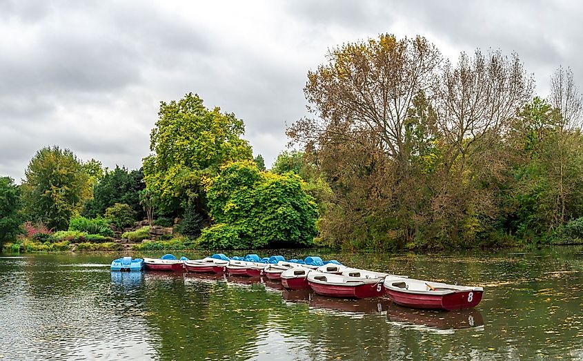 A boating lake with paddle boats in Battersea Park
