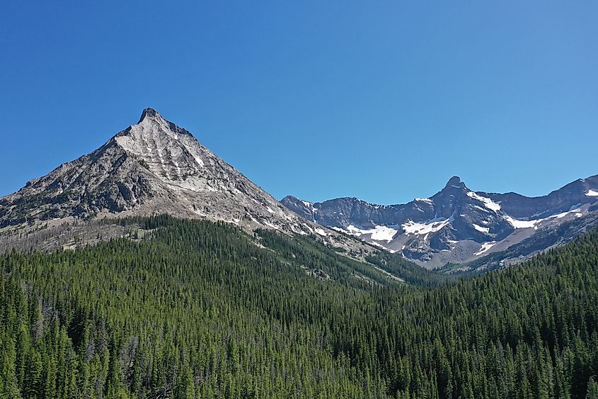 Salmon Challis national forest.