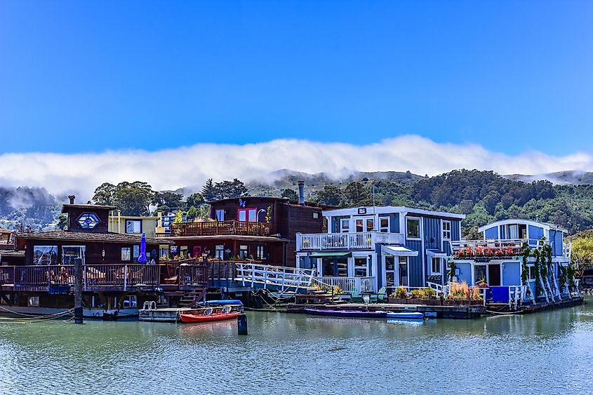 Colorful house boats floating on water on a sunny day in Sausalito, San Francisco bay,